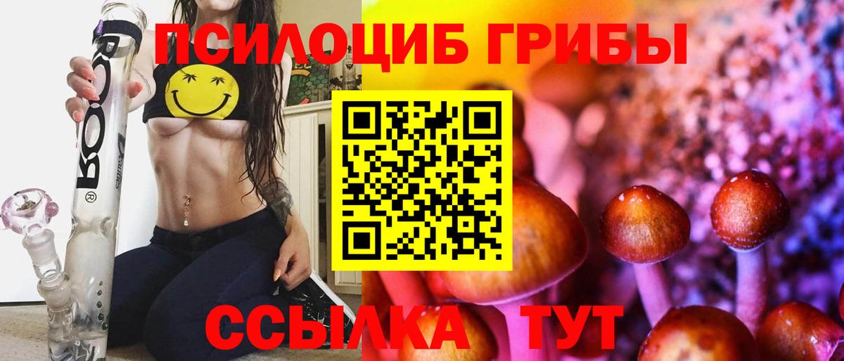 Псилоцибиновые грибы мухоморы Нарткала